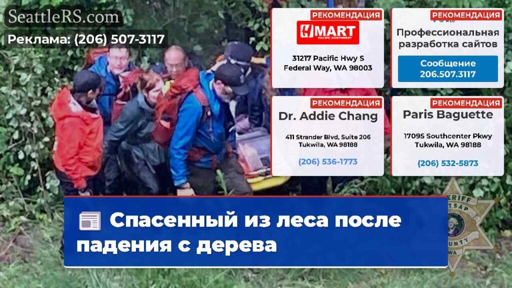 Спасенный из леса после падения с дерева
