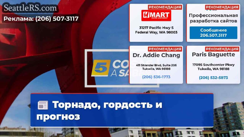 Торнадо, гордость и прогноз