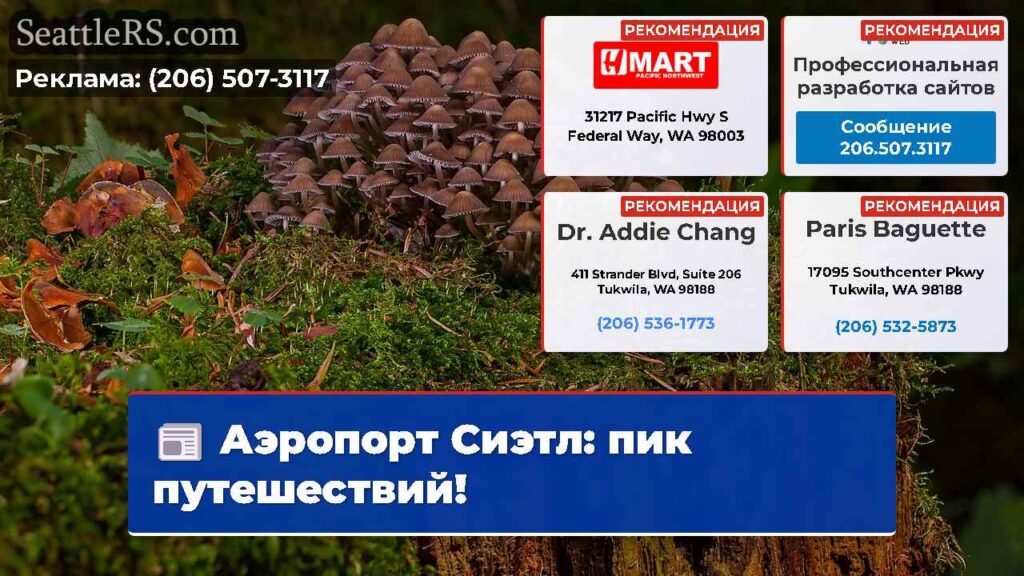 Аэропорт Сиэтл: пик путешествий!