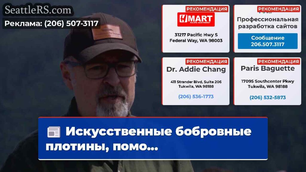 Искусственные бобровные плотины, помо...
