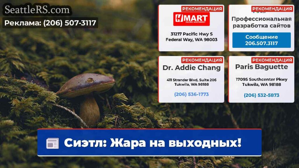 Сиэтл: Жара на выходных!
