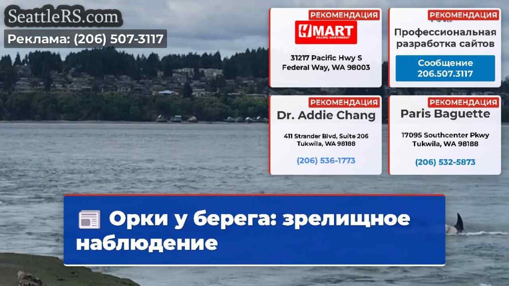 Орки у берега: зрелищное наблюдение