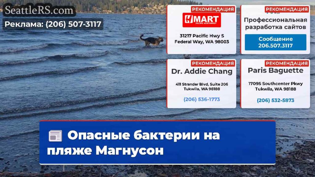 Опасные бактерии на пляже Магнусон
