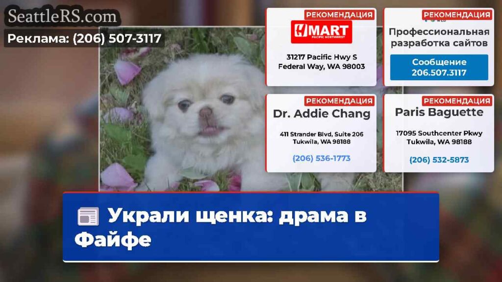 Украли щенка: драма в Файфе
