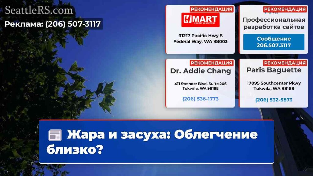 Жара и засуха: Облегчение близко?