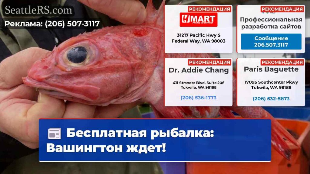Бесплатная рыбалка: Вашингтон ждет!