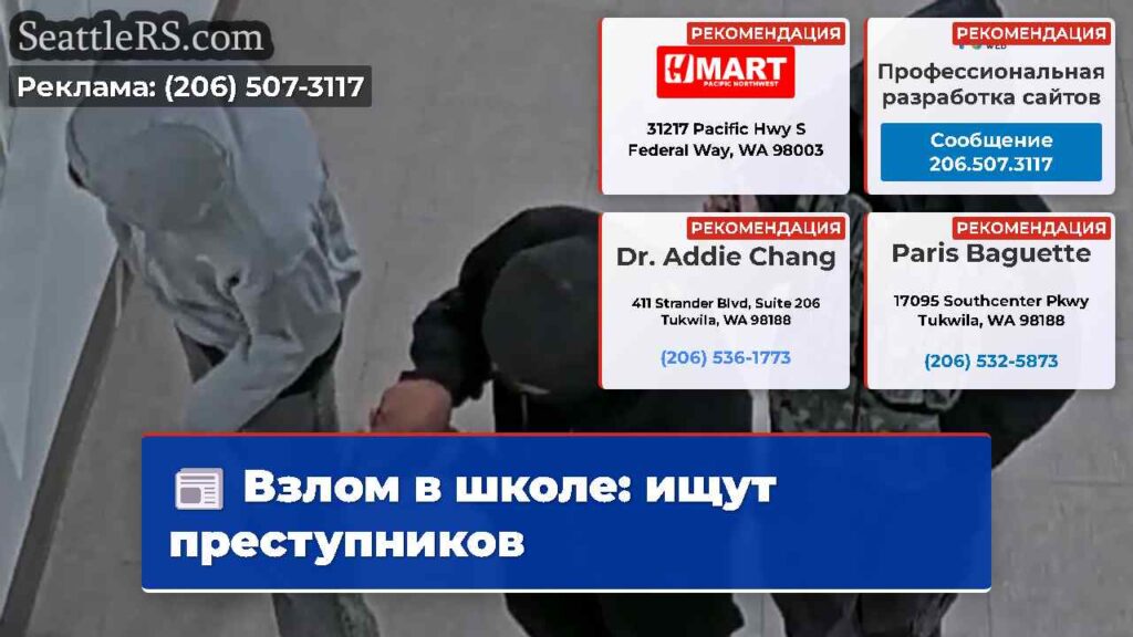Взлом в школе: ищут преступников