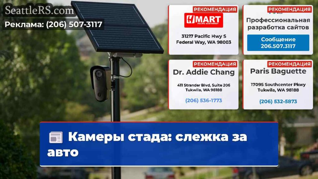 Камеры стада: слежка за авто