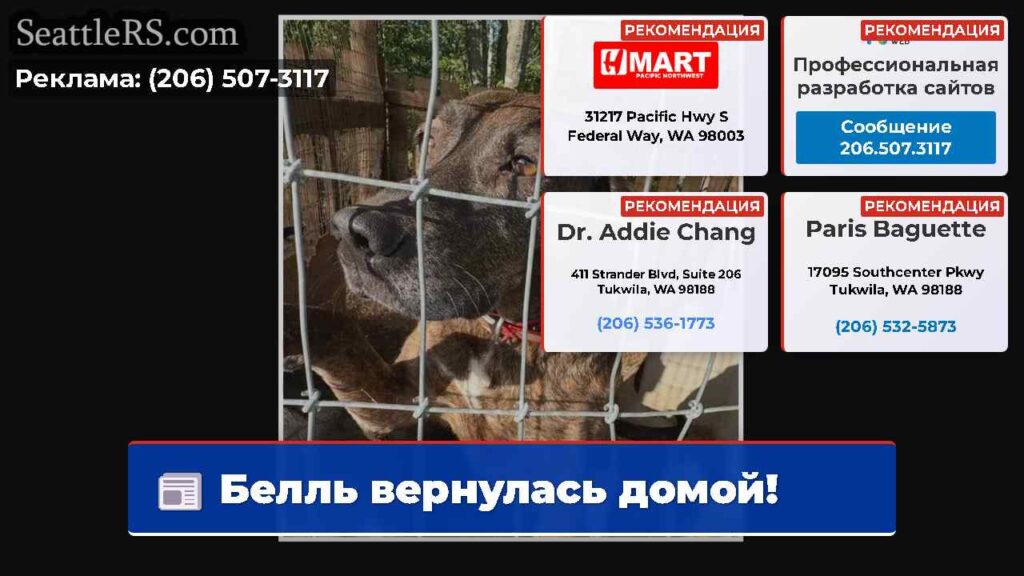Белль вернулась домой!