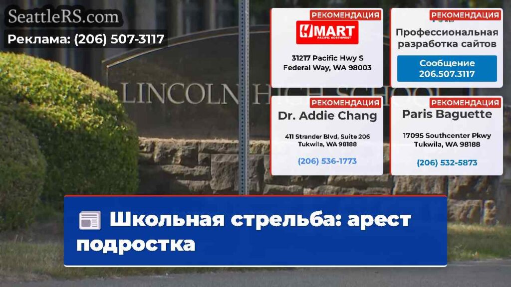 Школьная стрельба: арест подростка