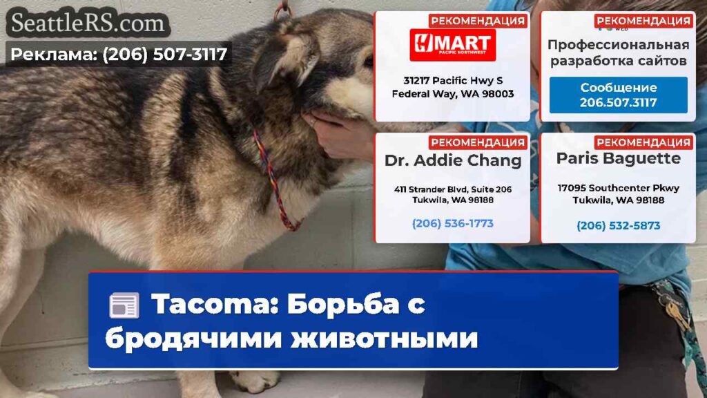 Tacoma: Борьба с бродячими животными