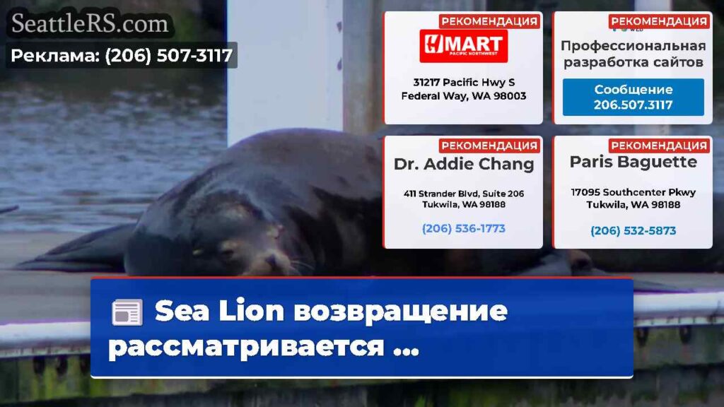 Sea Lion возвращение рассматривается ...