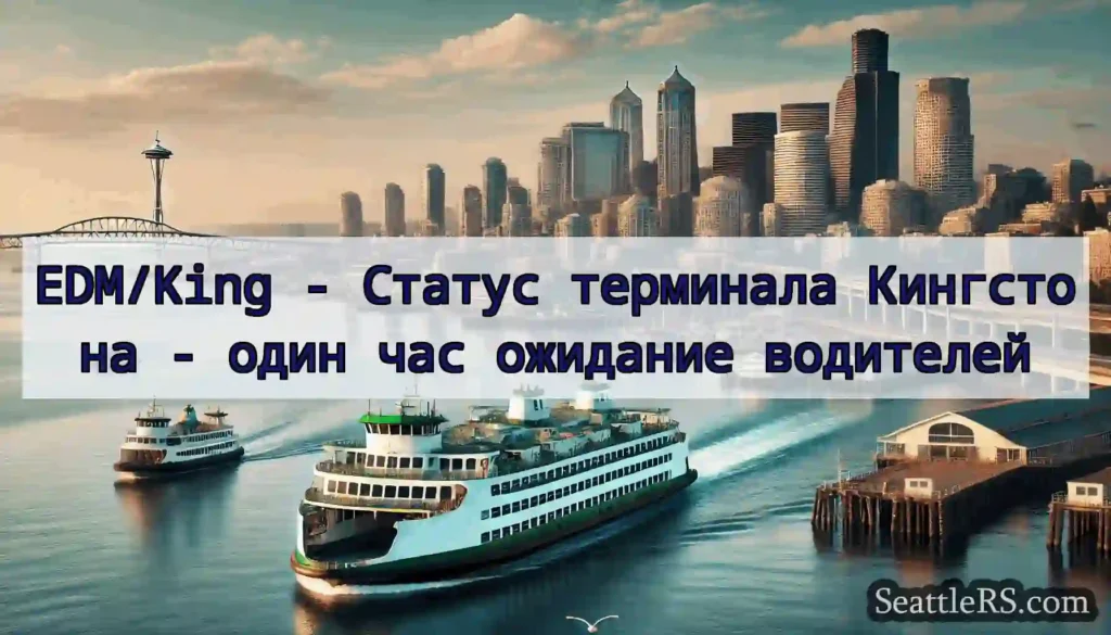 EDM/King - Статус терминала Кингстона - один час