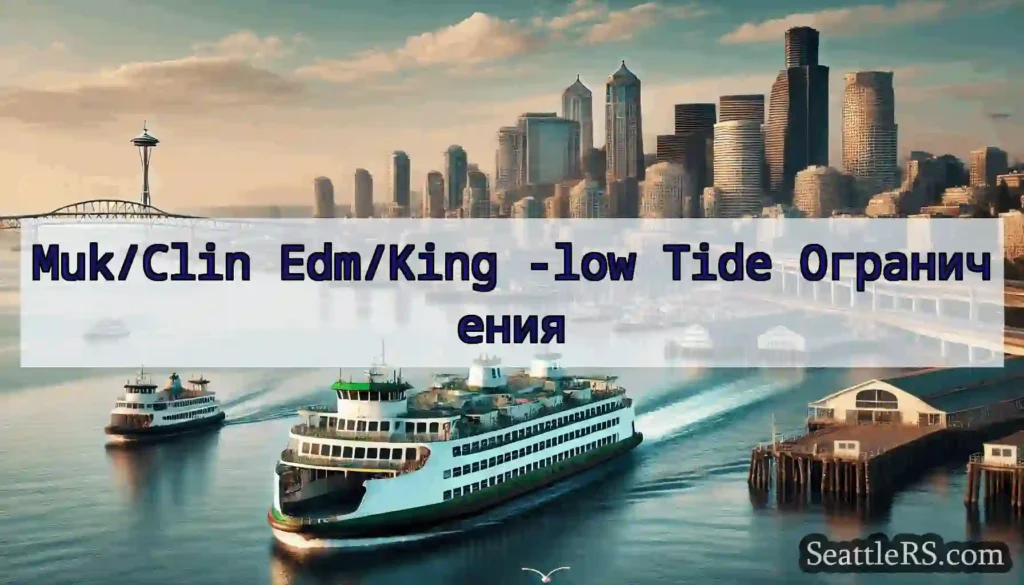 Muk/Clin Edm/King -low Tide Ограничения