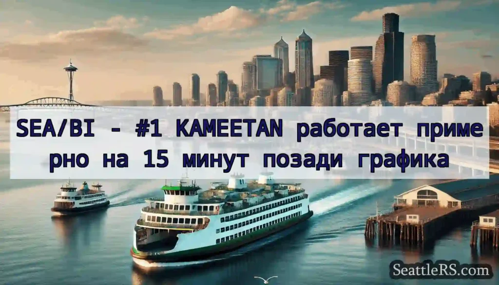 SEA/BI - #1 KAMEETAN работает примерно на 15
