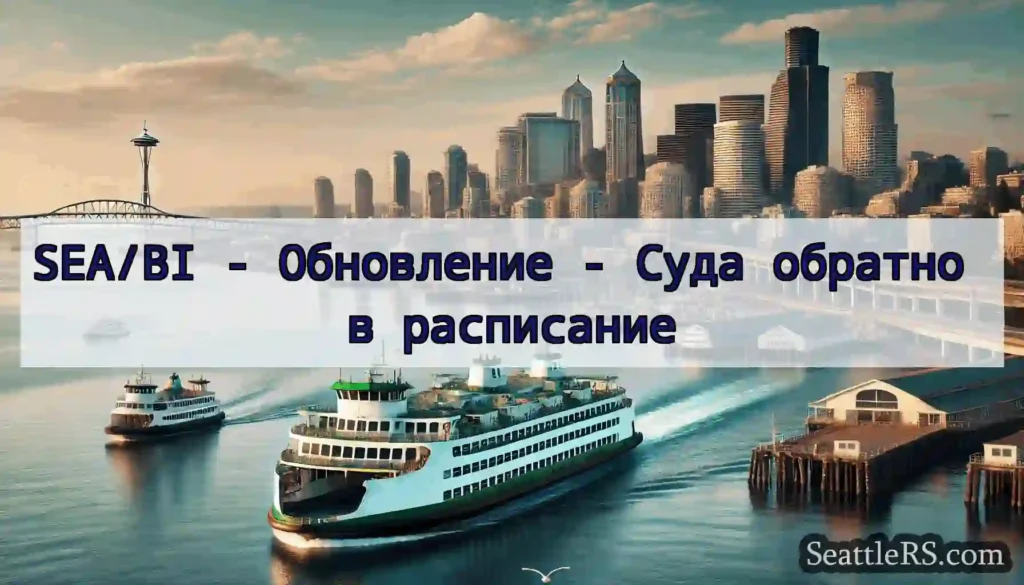 SEA/BI - Обновление - Суда обратно в расписание
