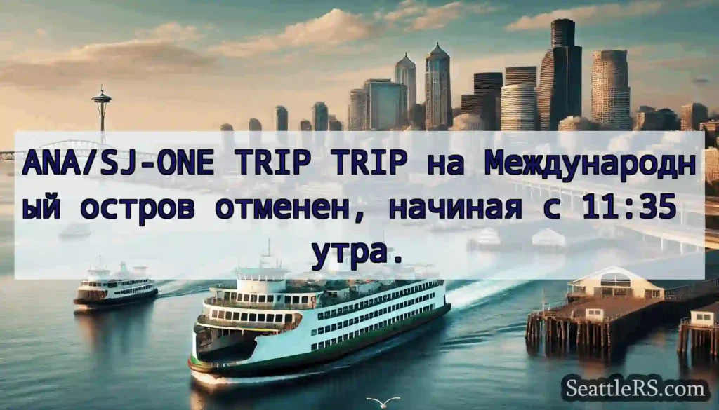 ANA/SJ-ONE TRIP TRIP на Международный остров