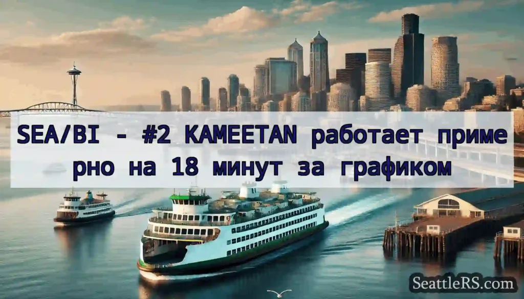 SEA/BI - #2 KAMEETAN работает примерно на 18