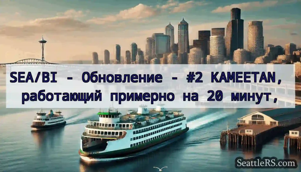 SEA/BI - Обновление - #2 KAMEETAN, работающий