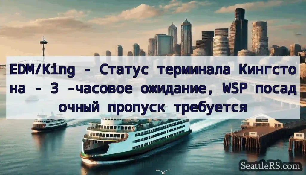 EDM/King - Статус терминала Кингстона - 3