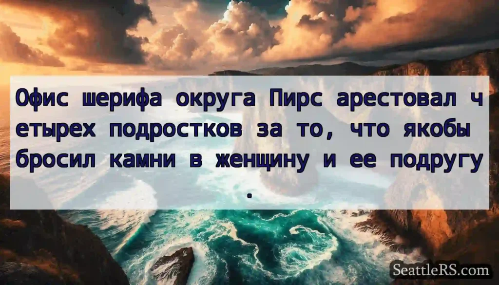 Офис шерифа округа Пирс арестовал четырех