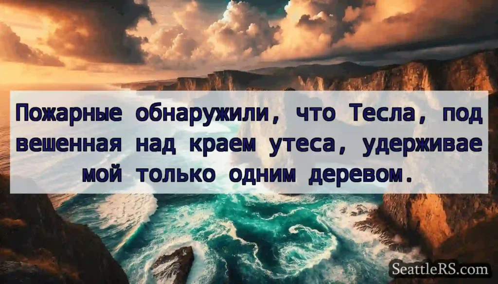 Пожарные обнаружили, что Тесла, подвешенная над