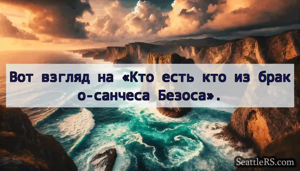 Вот взгляд на «Кто есть кто из брако-санчеса