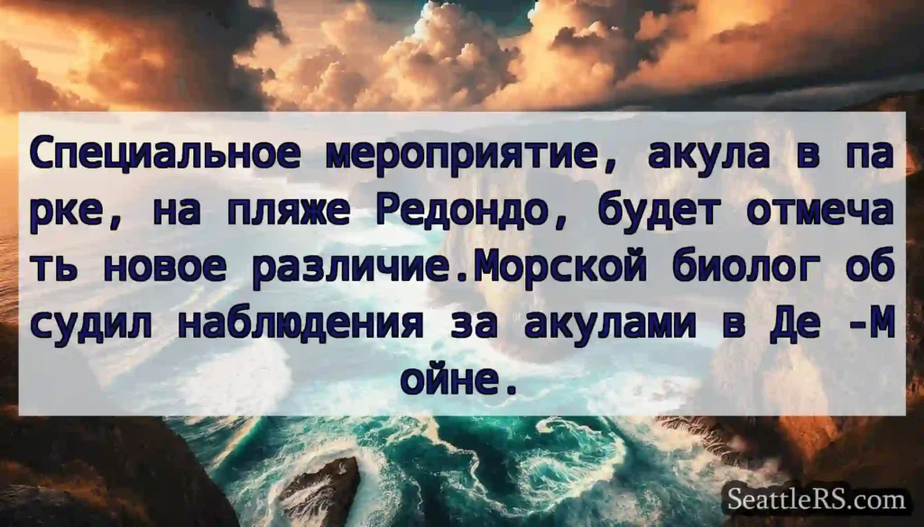 Специальное мероприятие, акула в парке, на пляже