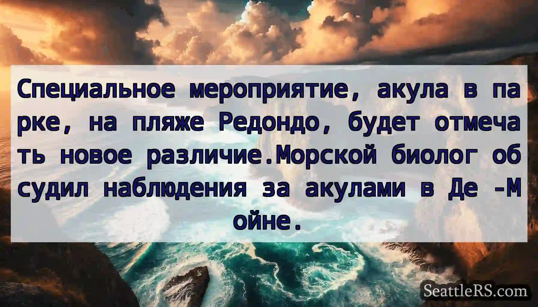 Специальное мероприятие, акула в парке, на пляже