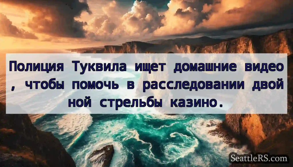 Полиция Туквила ищет домашние видео, чтобы помочь