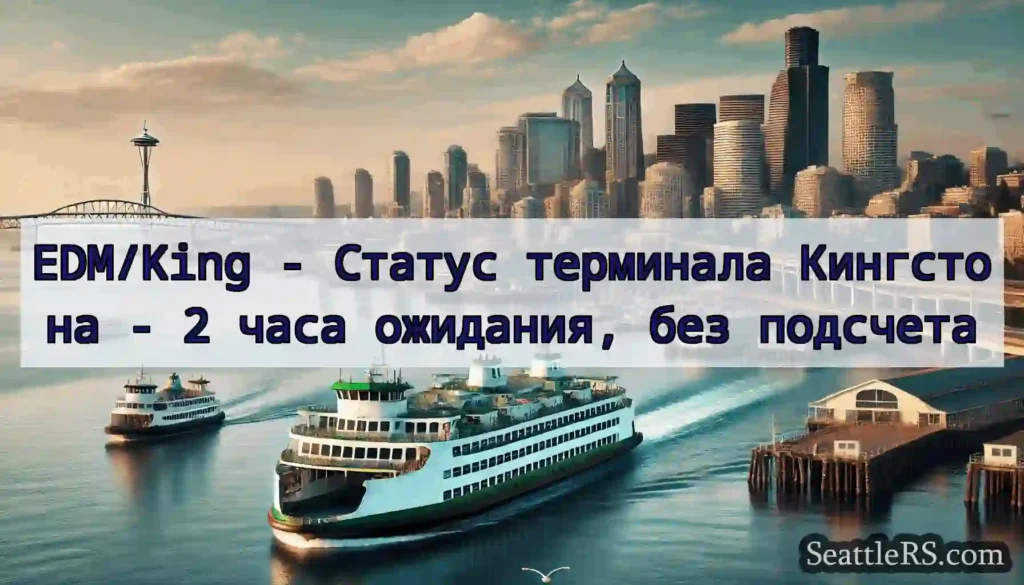 EDM/King - Статус терминала Кингстона - 2 часа