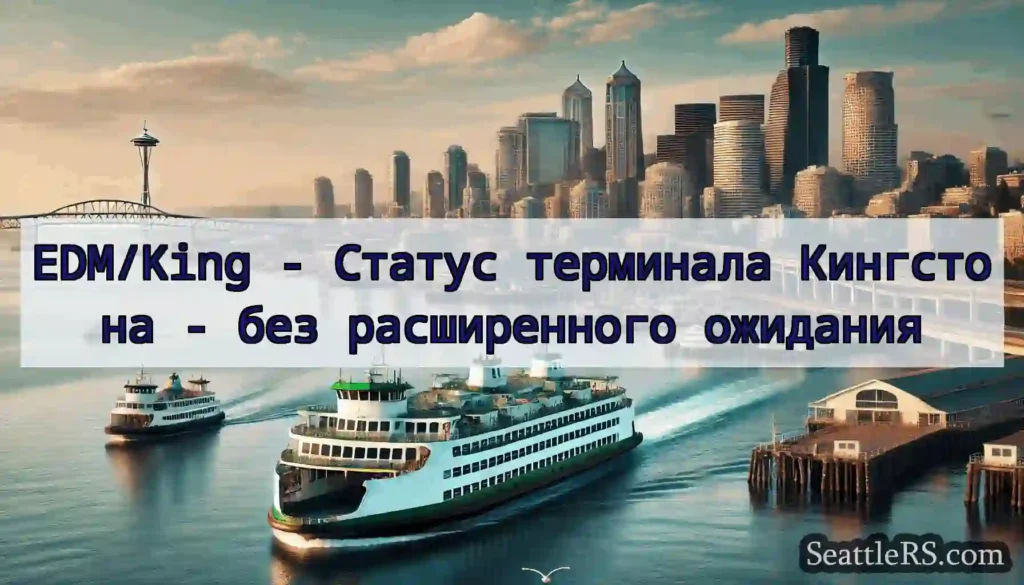 EDM/King - Статус терминала Кингстона - без
