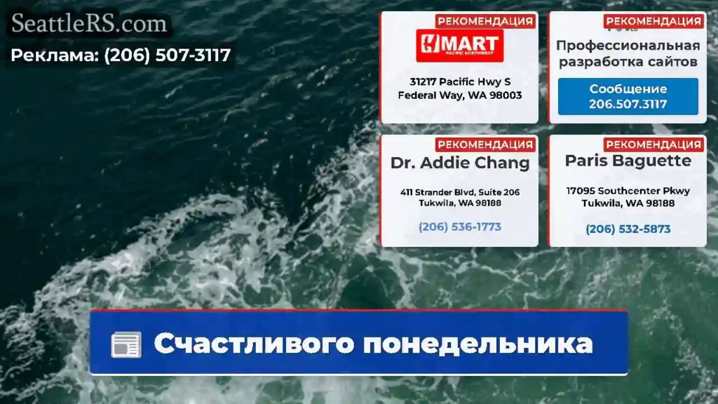 Счастливого понедельника ‍