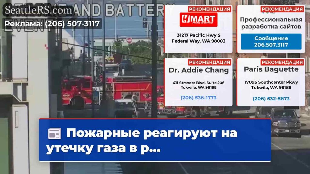 Пожарные реагируют на утечку газа в р...