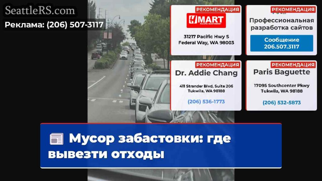 Мусор забастовки: где вывезти отходы