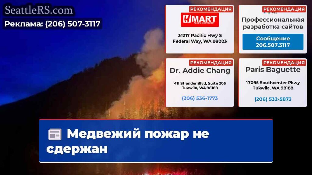 Медвежий пожар не сдержан
