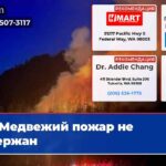 Медвежий пожар не сдержан
