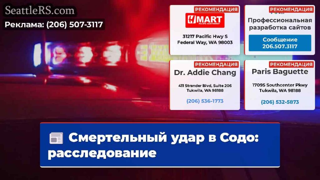 Смертельный удар в Содо: расследование