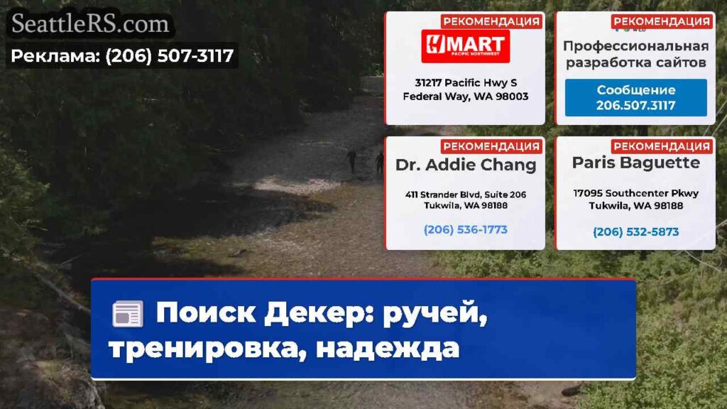 Поиск Декер: ручей, тренировка, надежда