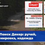 Поиск Декер ручей тренировка надежда