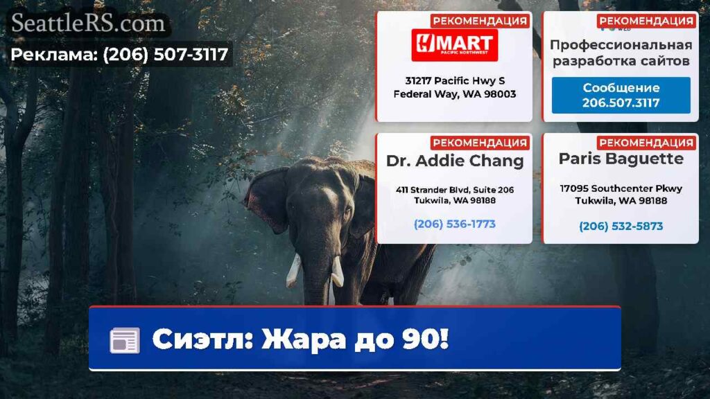 Сиэтл: Жара до 90!