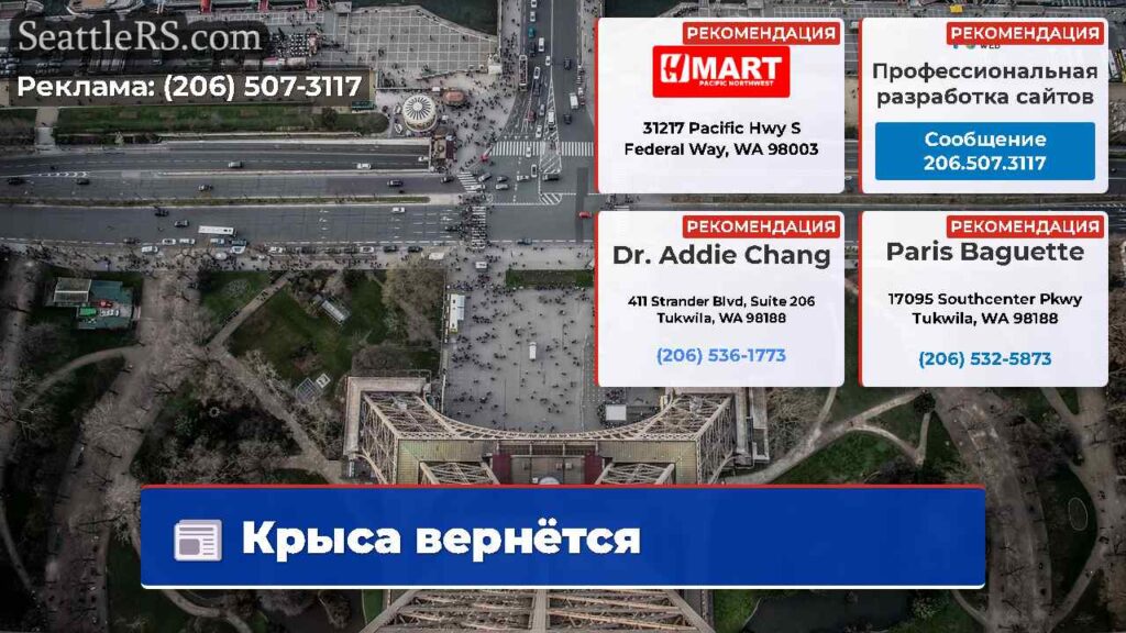 Крыса вернётся