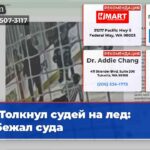 Толкнул судей на лед избежал суда