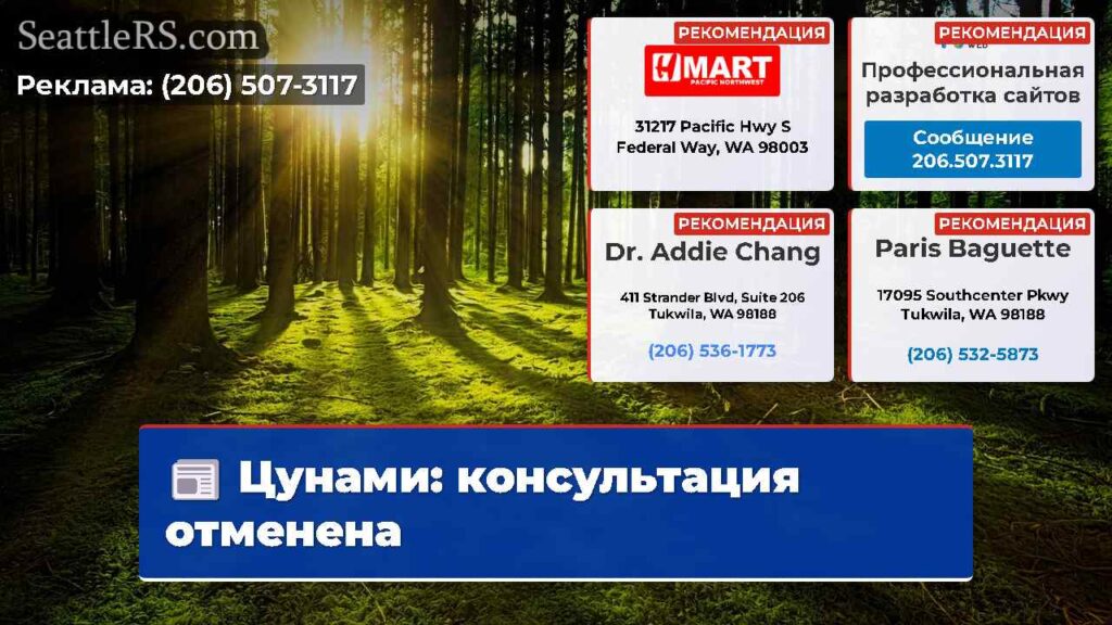 Цунами: консультация отменена