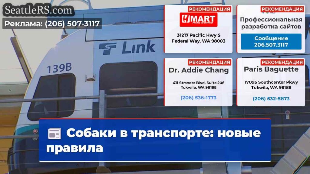 Собаки в транспорте: новые правила