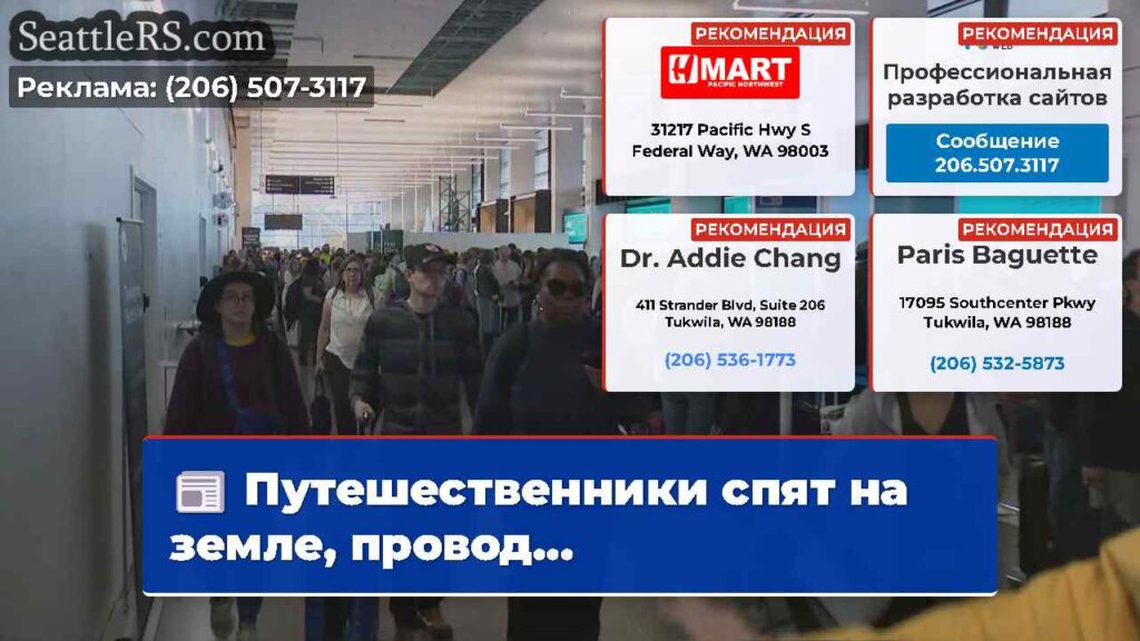 Путешественники спят на земле, провод...