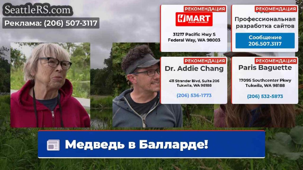 Медведь в Балларде!