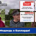 Медведь в Балларде!