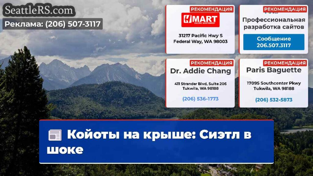 Койоты на крыше: Сиэтл в шоке