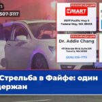 Стрельба в Файфе один задержан